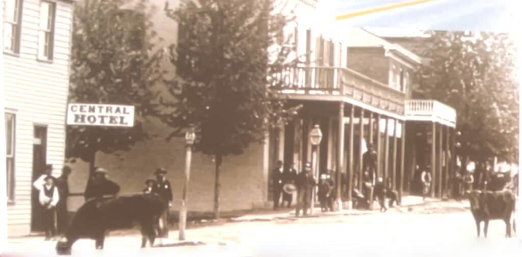 A view of Warrenton's Main Street, circa 1890 with cows grazing in town.