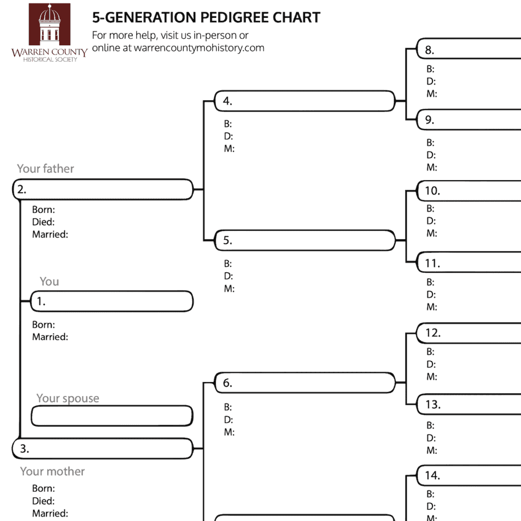 family history chart template