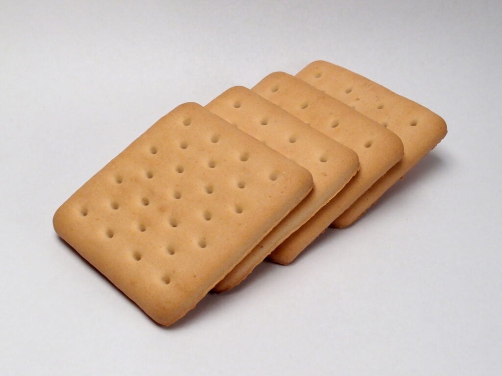 hardtack-biscuits